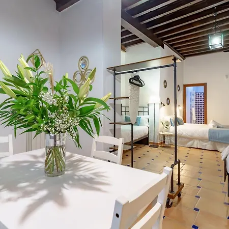 شقة فندقية Casa De Columnas غرناطة